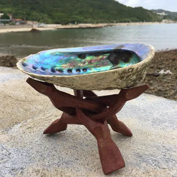1tk 11-16CM Loomulik Uus-Meremaa Abalone Shell Suur Conch DIY Kodu Kaunistamiseks Akvaariumi Haljastus Pulm Maastiku Decore Käsitöö