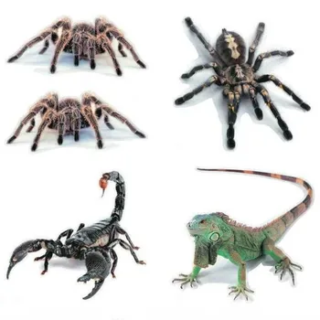 3D Auto Kleebis Loomade Kaitseraua Spider Gecko Scorpions Jaoks SSANGYONG Esimees Rexton Kyron Rodius Actyon Tivolan Jaoks Chery