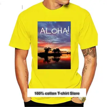 ¡Aloha! Camiseta de Estilo Hawaiano para hombre y mujer, camisa con estampado de sol artístico, värv gris